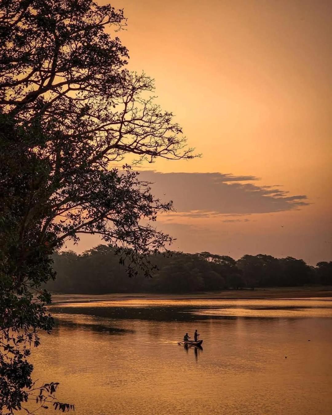 Priya Homestay Kandalama Dambulla Exteriér fotografie