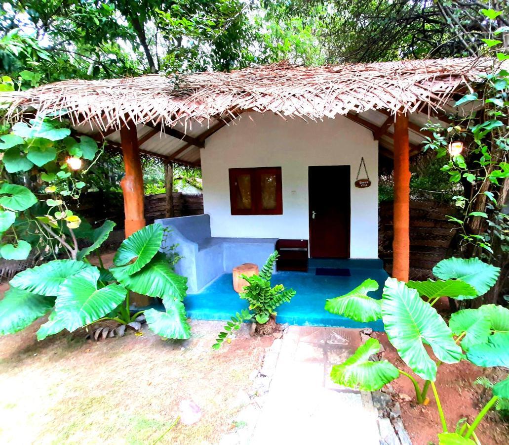 Priya Homestay Kandalama Dambulla Exteriér fotografie